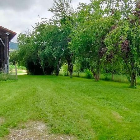 Villa Superbe Demeure Au Coeur Des Pyrenees Ariegeoises Montels  Exterior foto